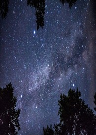 ŮABO½б,ŮABOȫĶ