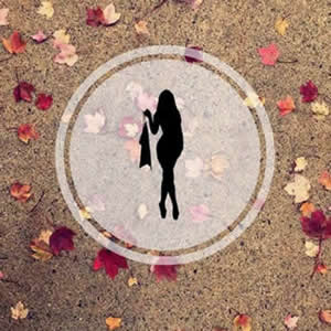 Ӿ17֮½б,Ӿ17֮ȫĶ