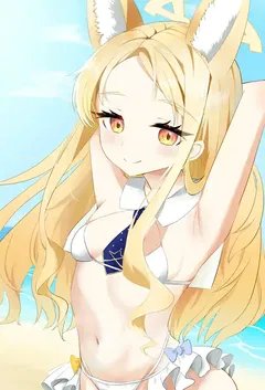 ׹���ξ������½��б�,׹���ξ�ȫ���Ķ�